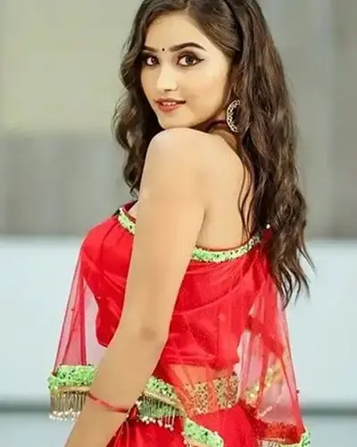 Escort In Santokhgarh